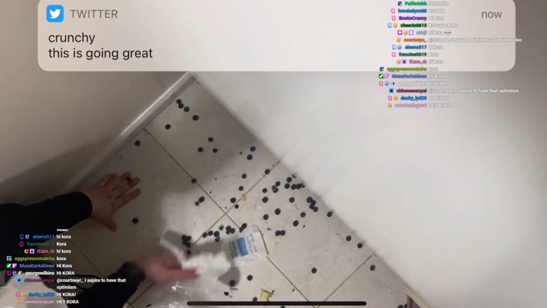 Blueberries on the floor